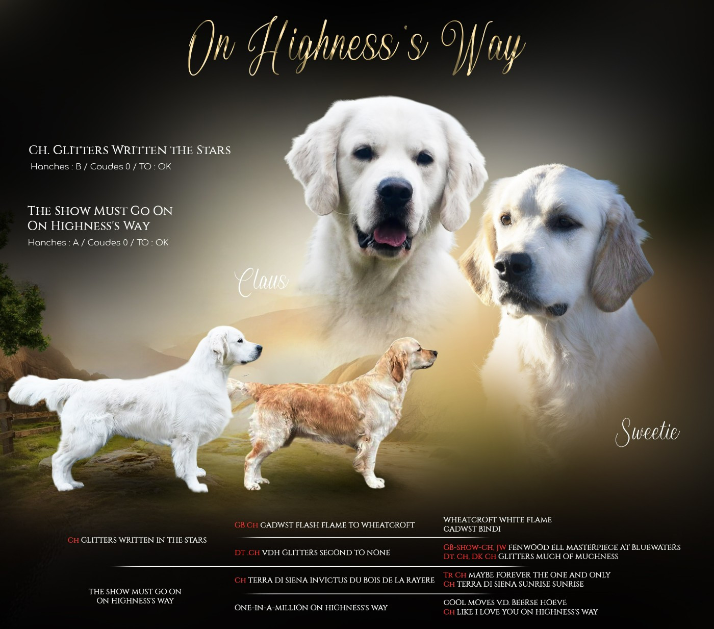 Naissance Novembre 2025